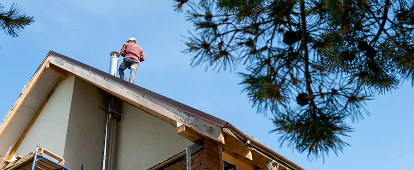 Birds Removal Contractors from Chimney in Amesbury, MA